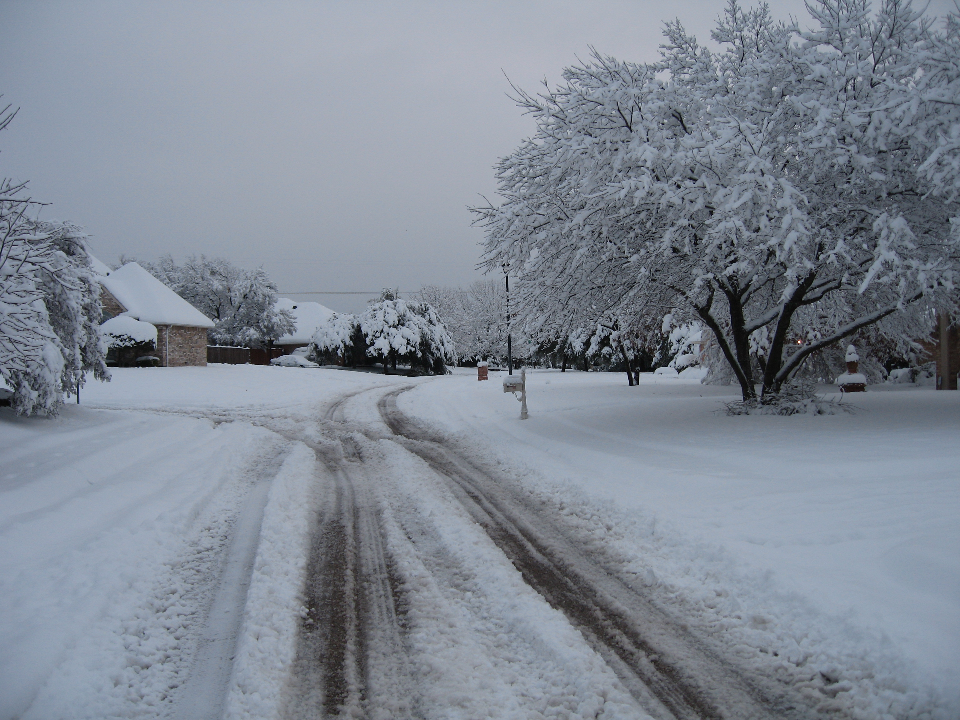 10.02.11 cedar hill snow scenes 067
